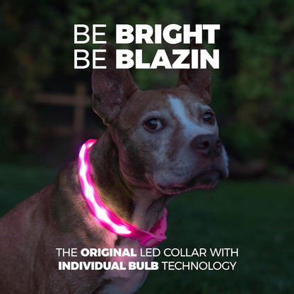Light up Dog Collar - the Original LED Dog Collar - USB Rechargeable - Waterproof - 1,000 Feet of Visibility - Dog Collar Light for Small, Medium, Large Dogs - USA Brand