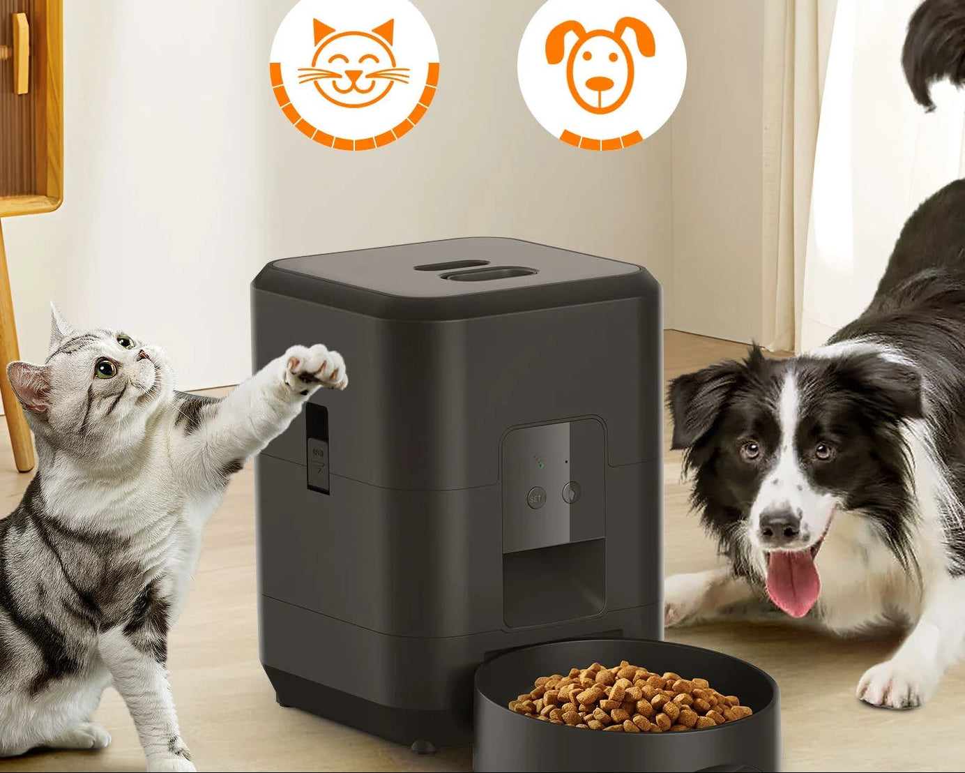 HEYBO Smart Pet Feeder | Automatic, 2L Capacity for Cats & Dogs