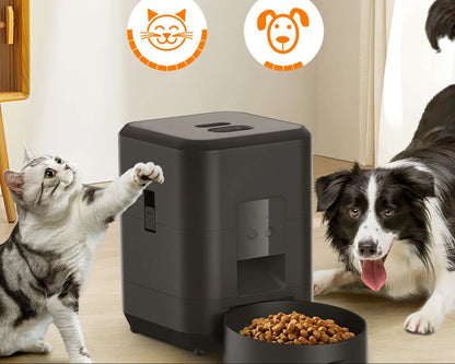 HEYBO Smart Pet Feeder | Automatic, 2L Capacity for Cats & Dogs