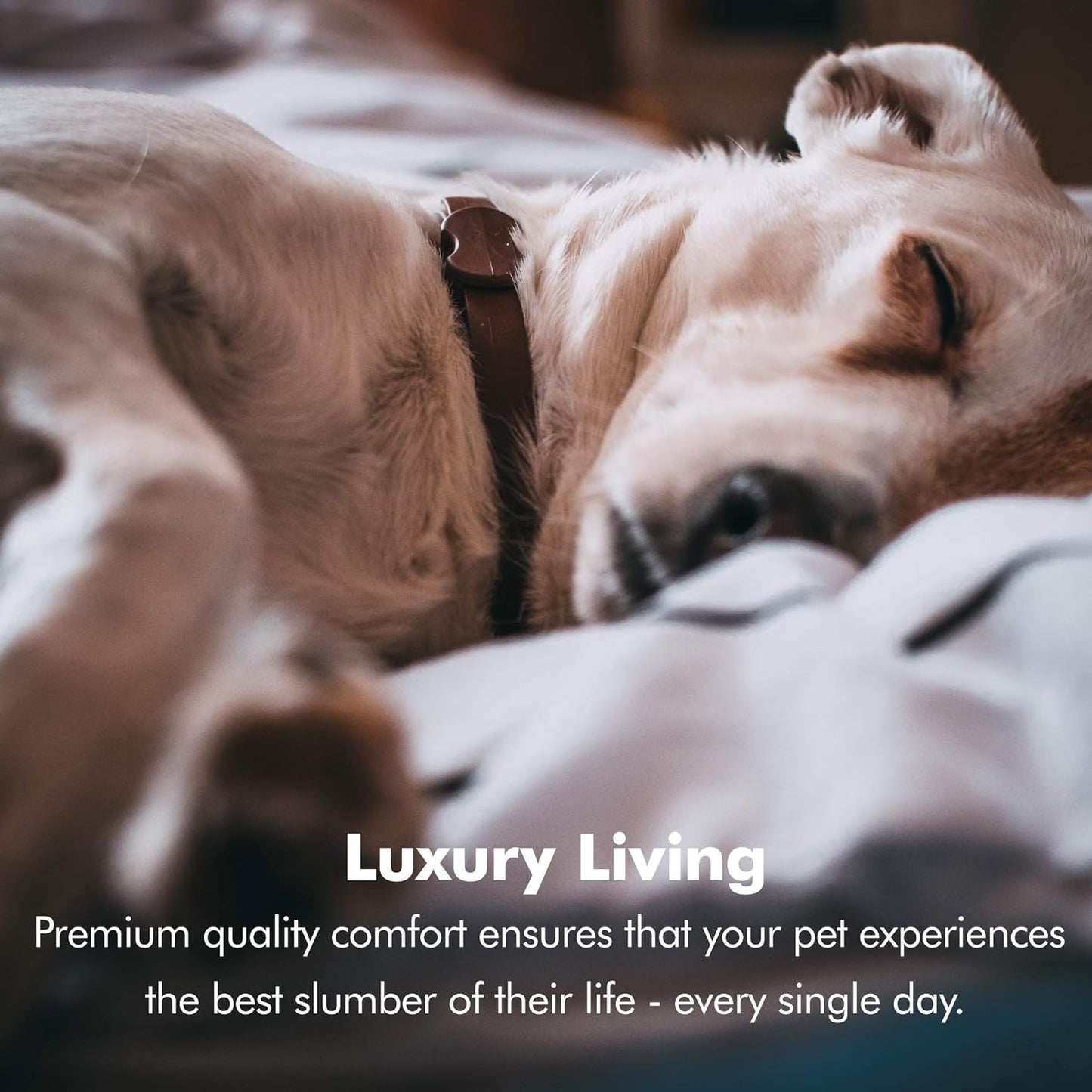 Cozy Orthopedic Small Dog Bed with Memory Foam, Calming Couch Design, Washable Cover & Non-Slip Bottom - Chester in Khaki Beige