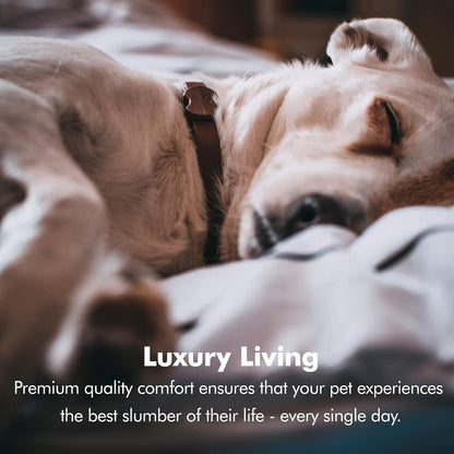 Cozy Orthopedic Small Dog Bed with Memory Foam, Calming Couch Design, Washable Cover & Non-Slip Bottom - Chester in Khaki Beige